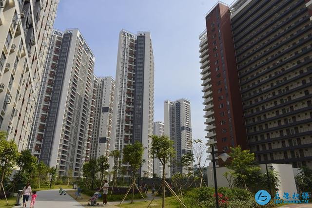 未來，房子是“粥少僧多”還是“沒人要”?4個字告訴你答案