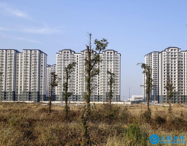 越來越多人由市區(qū)搬到“郊區(qū)”，趨勢如此？其實更多是迫于無奈